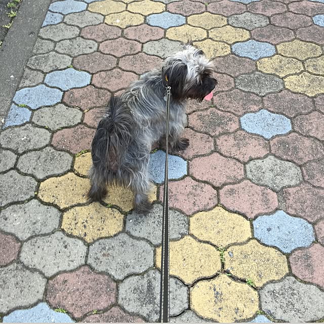 emiさんの実例写真