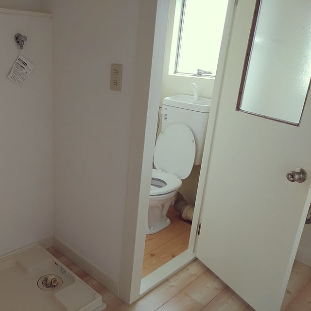 Shellaさんの実例写真