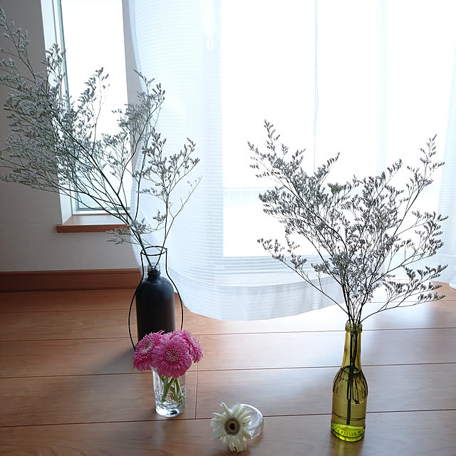 chii24さんの実例写真