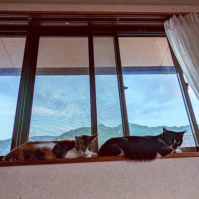 uchizukonyanさんの実例写真
