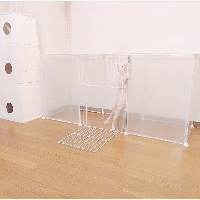 heart.emiemi57.whiteさんの実例写真