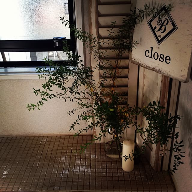 minaさんの実例写真