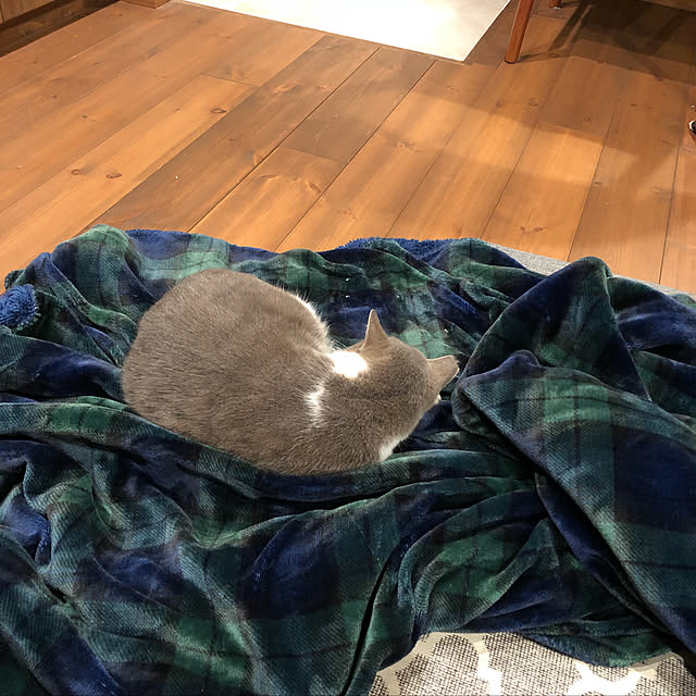 natsumama6566さんの実例写真