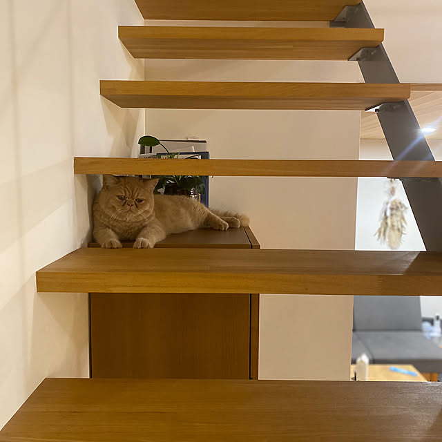 sznoieさんの部屋