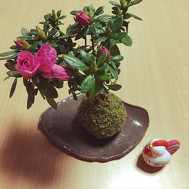 soraさんの実例写真