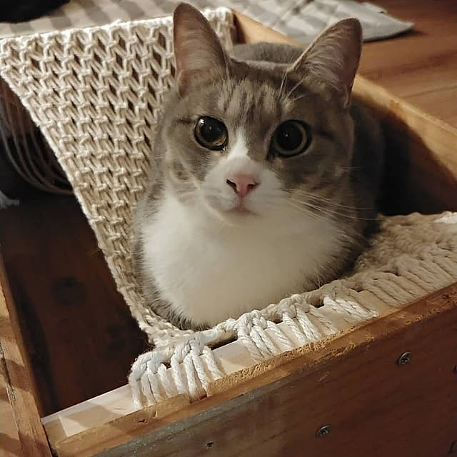 muuさんの実例写真