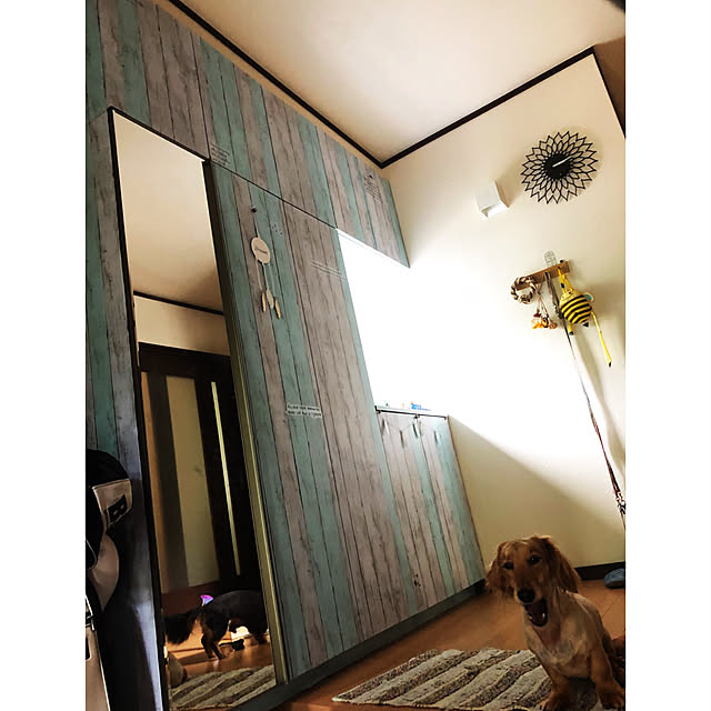実例写真