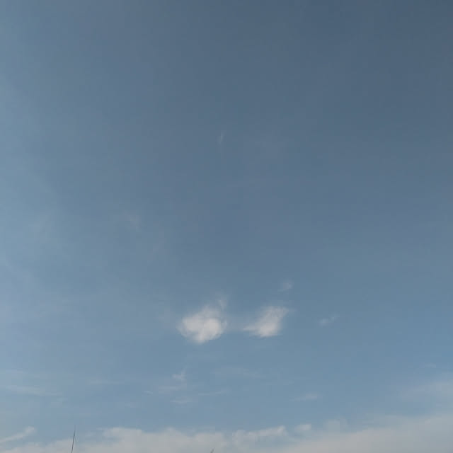 LiSAさんの実例写真