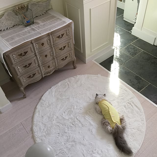 yuchiさんの実例写真