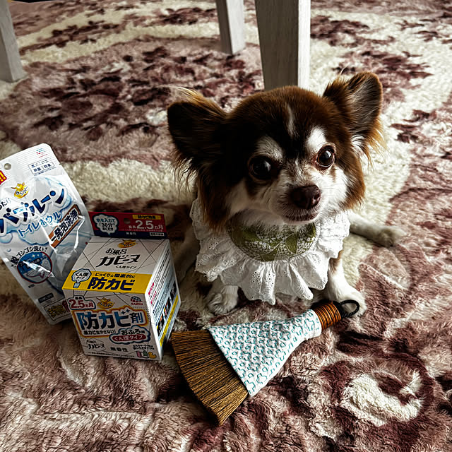 chIoeさんの部屋