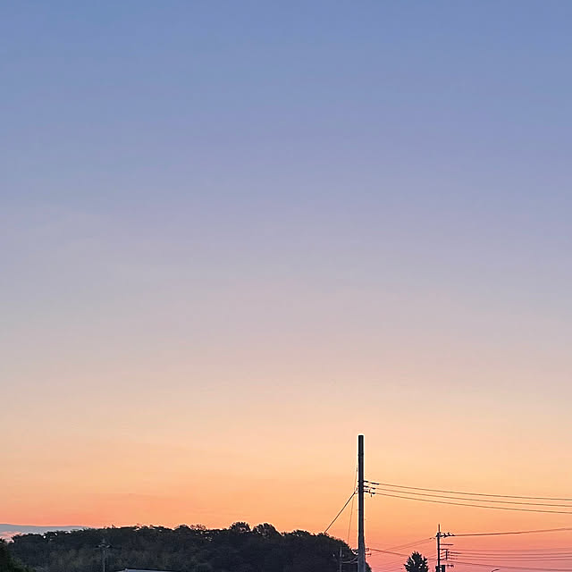 ronronさんの部屋