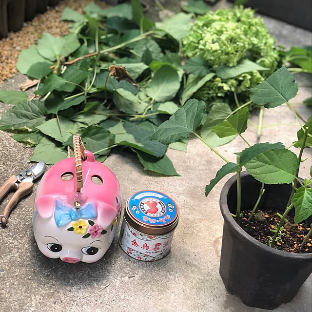 Nobbyさんの実例写真