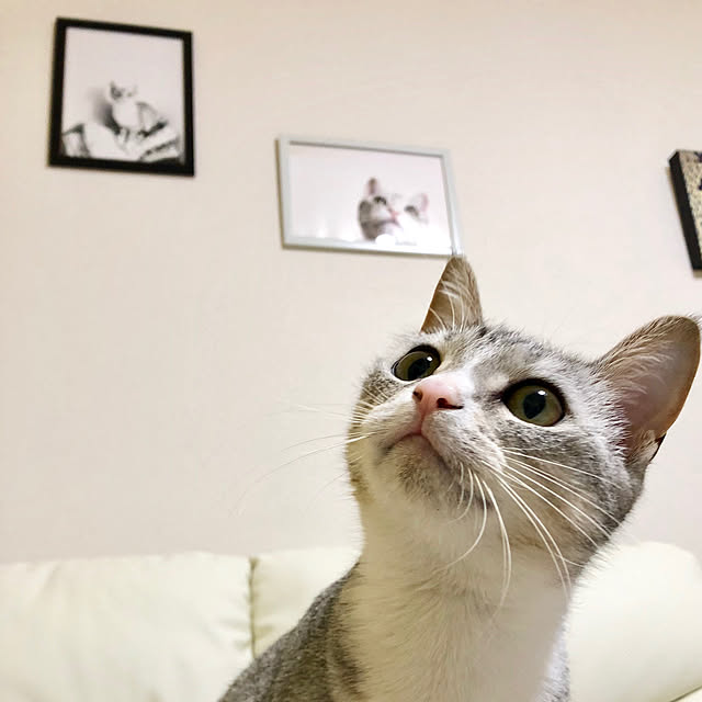 Honamiさんの実例写真