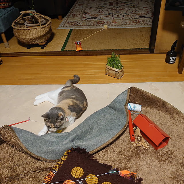 fukuさんの実例写真