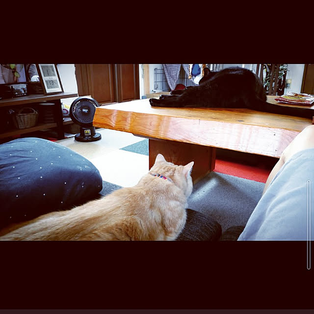 mntcさんの実例写真