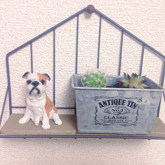 daneyさんの実例写真