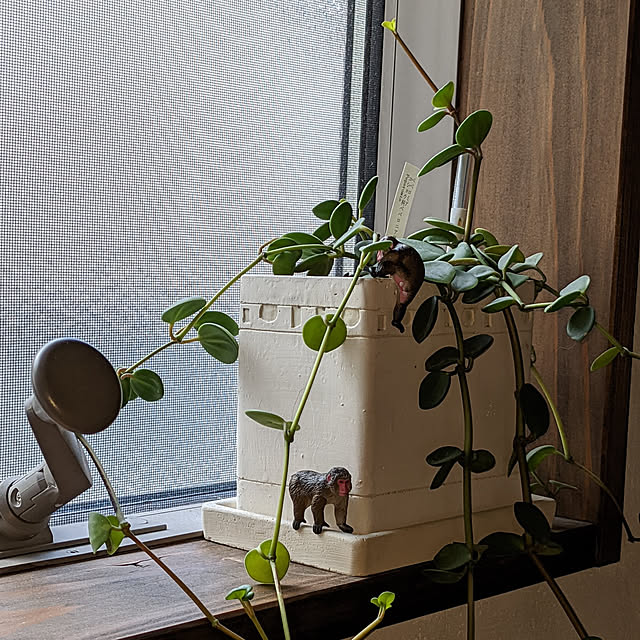 chiibou5223さんの実例写真