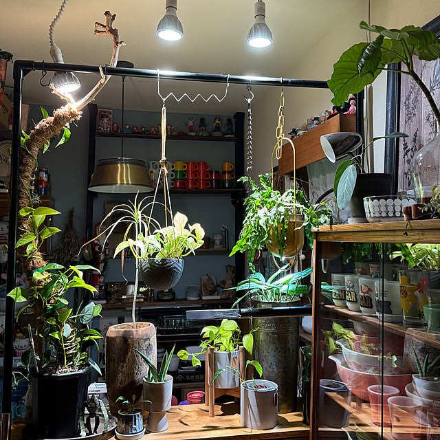 Tomokoさんの実例写真