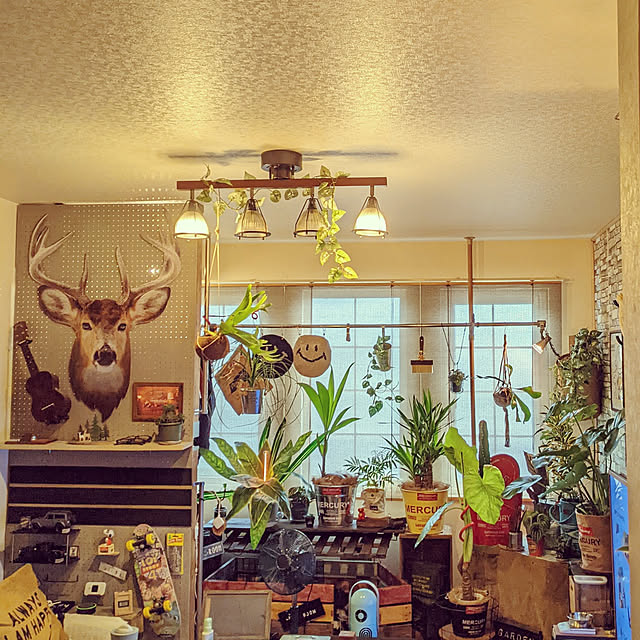 GINさんの実例写真