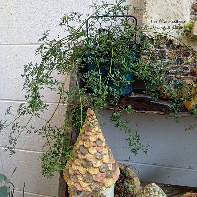 tomomiさんの部屋