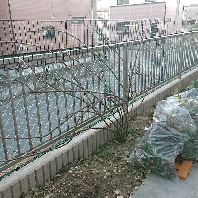 cororoさんの実例写真
