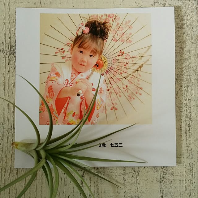 geshikoさんの実例写真