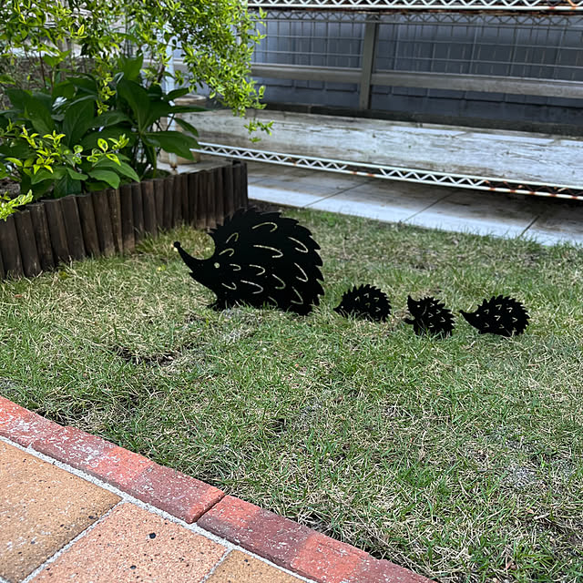 felicityさんの実例写真