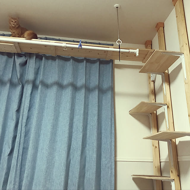 mei0708さんの実例写真