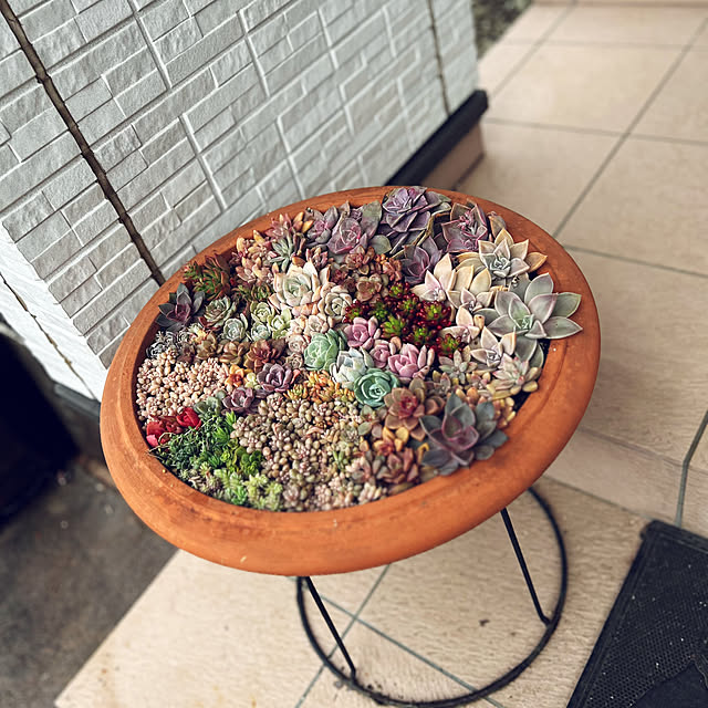 canmilmamaさんの部屋