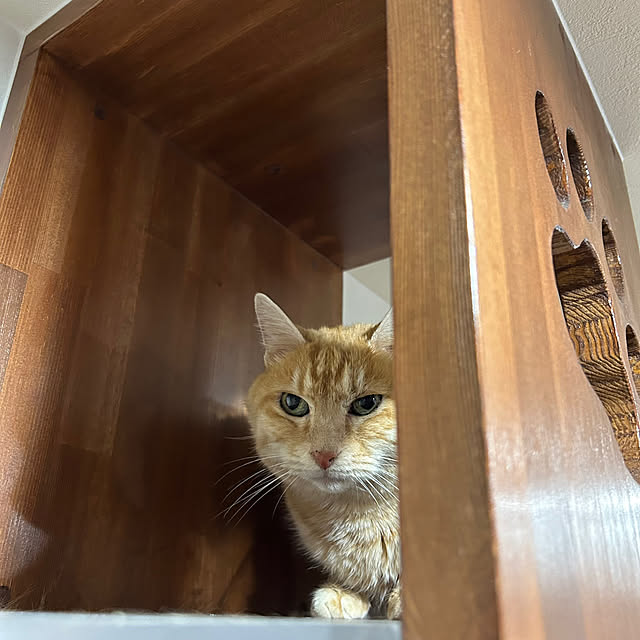mikeume7さんの部屋