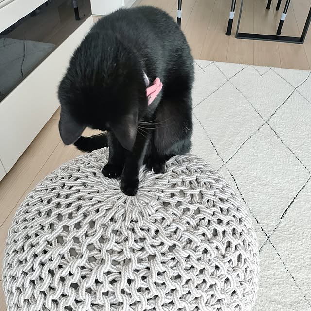 sakuraさんの部屋
