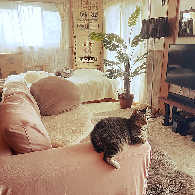 Mさんの部屋