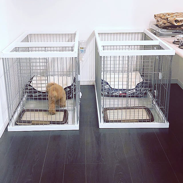 pimoさんの実例写真