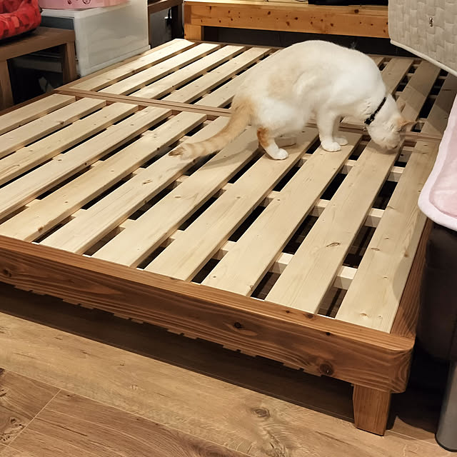 maru_hiro709さんの実例写真