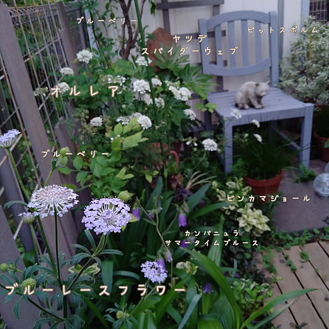 chocoさんの実例写真