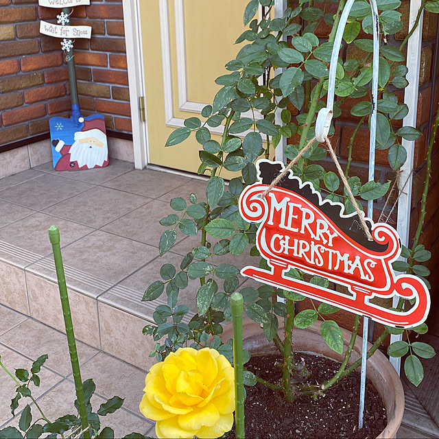 RoseLife5818さんの実例写真
