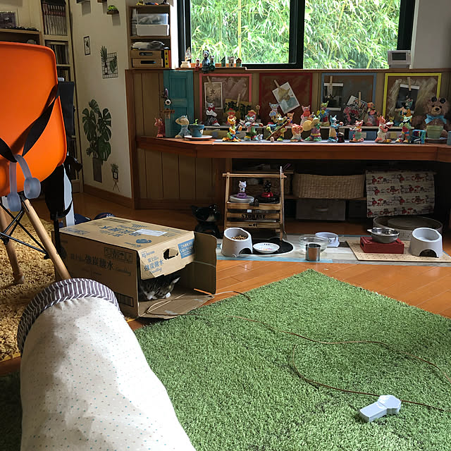 jijiさんの実例写真