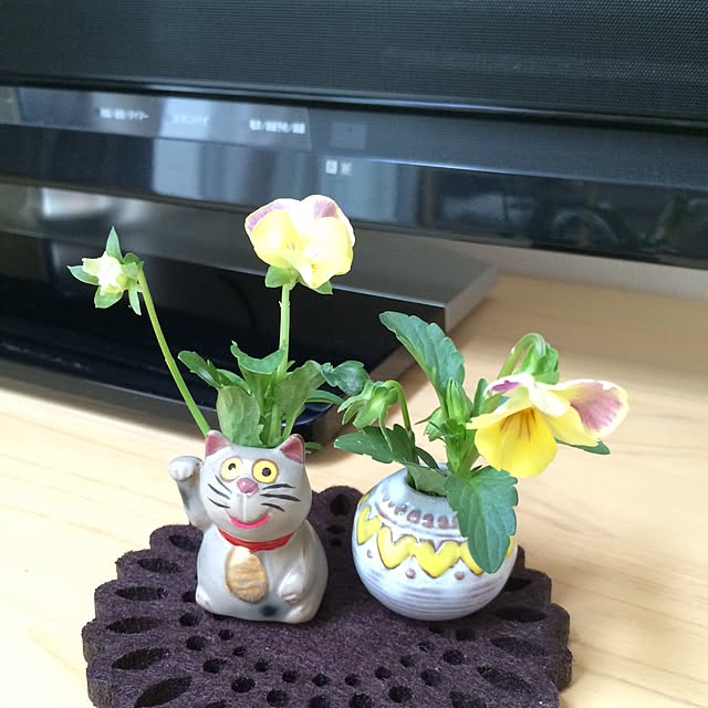 yodamyuさんの実例写真
