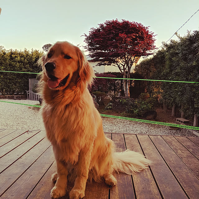 woodyさんの実例写真