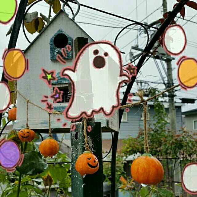 Yumiさんの実例写真
