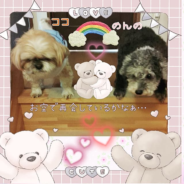 chinon721さんの部屋