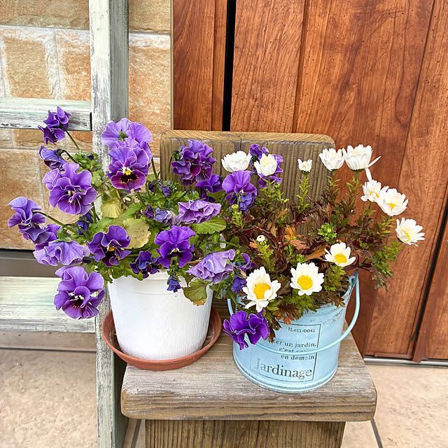 ayayayayaさんの部屋