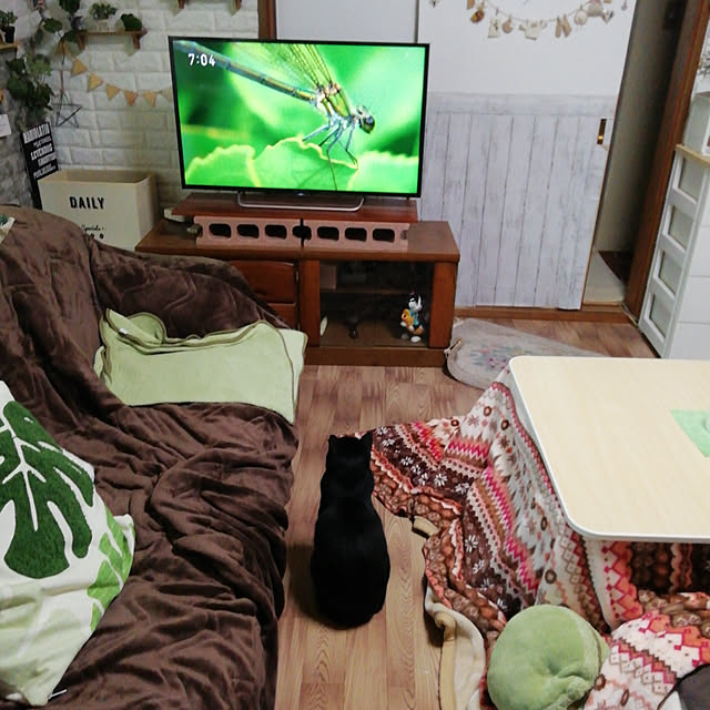 Tomopさんの実例写真