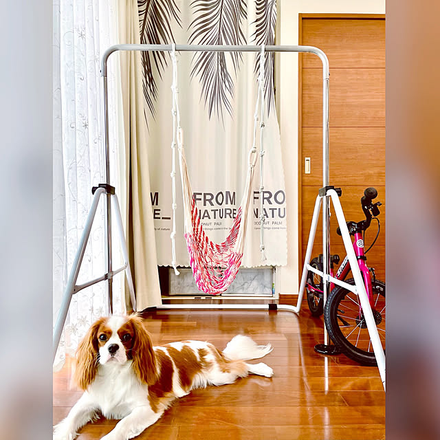 k.k.kinokoさんの実例写真