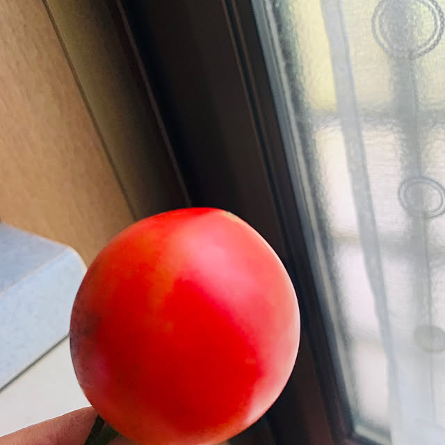 tekocyanさんの部屋