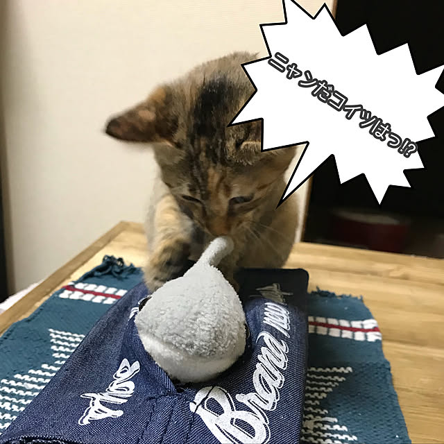 pumehanaさんの実例写真