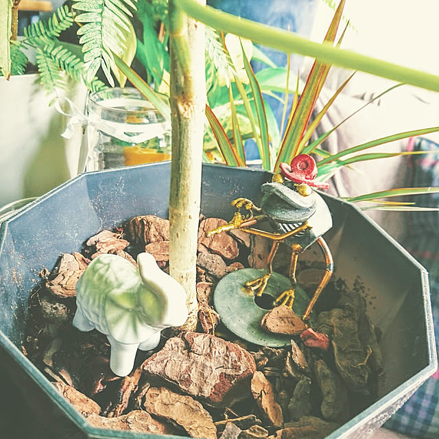s.p.sunaoさんの実例写真