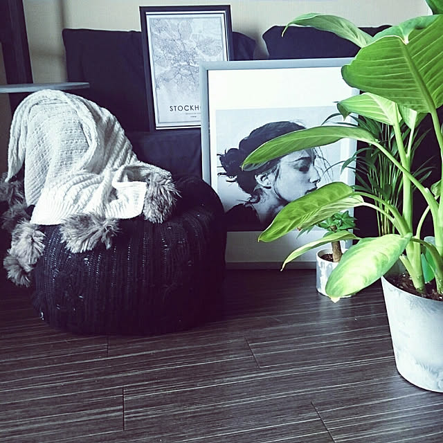 morasanさんの実例写真