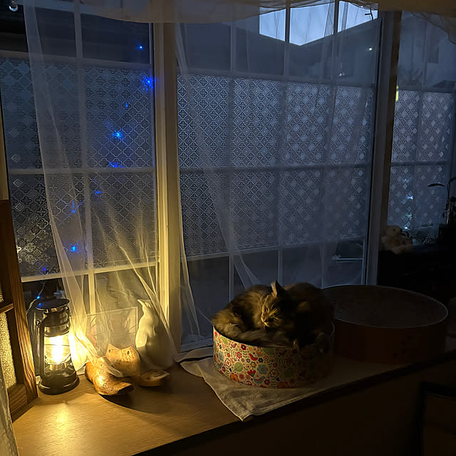 mayumiさんの部屋