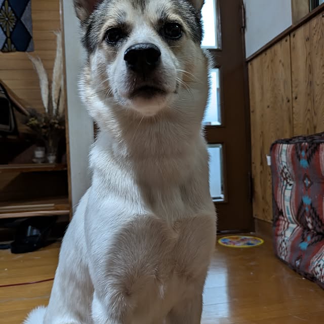 asaさんの部屋